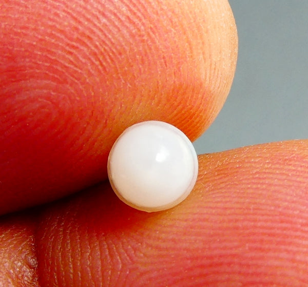 1.60CT 非常に希少な非養殖 100% 天然ホワイト ワイルド トリダクナ クラム パール