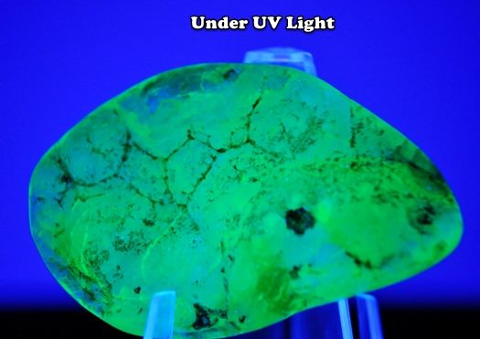 150.00CT VERY RARE JUMBO UNIQUE UV REACTIVE FLORESCENT ROUGH HYALITE OPAL