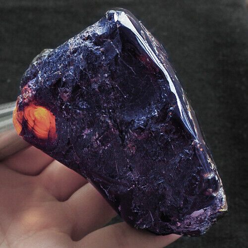 911.50CT EXCELLENT HUGE POLISHED MEXICAN BLUE AMBER
